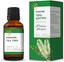 Picture of ESSENTIAL OIL TEA TREE KANAVOS 20ML