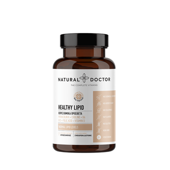 Picture of NATURAL DOCTOR  Healthy Lipid (Healthy Cholesterol) 90caps